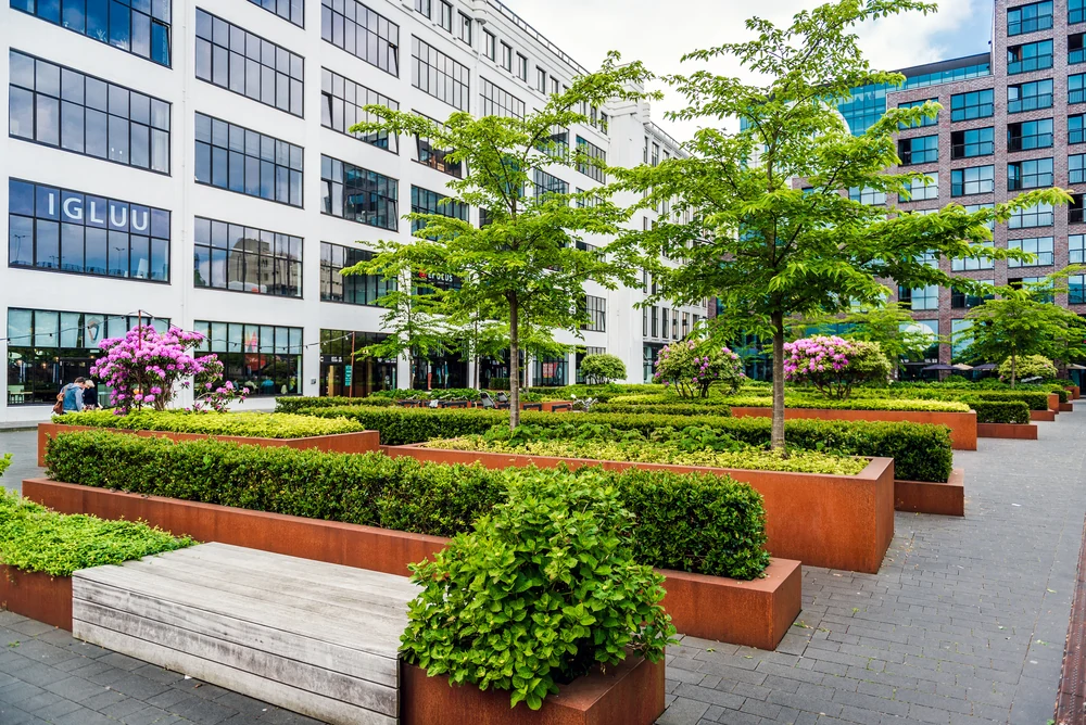 Commercial courtyard with raised planting beds, clipped hedges, shade trees, and integrated seating