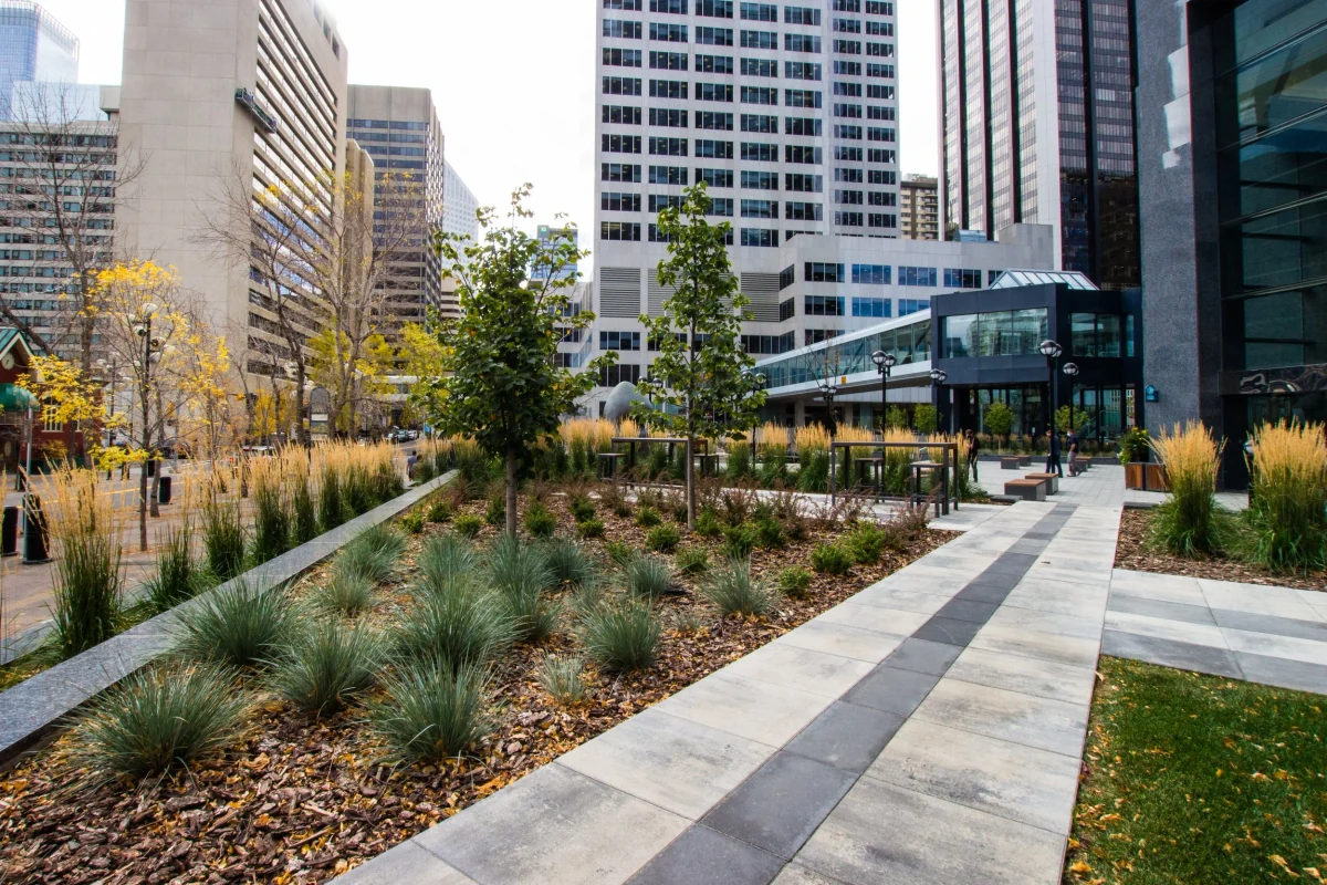 Office towers around a landscaped plaza with ornamental grasses, trees, and broad pedestrian walkways